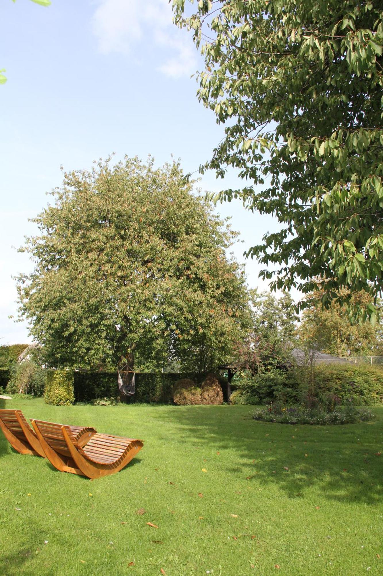 Familiehuis De Betuwe Met Prive Kunstgras Tennisbaan En Sauna Villa Erichem Exterior photo